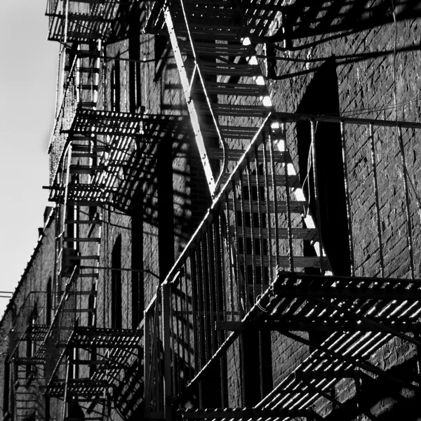 Sunlight hitting rows of fire escapes in a New York City alleyway.