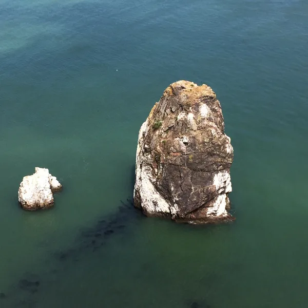 A large stone sticking out of the San Francisco Bay in the summer.
